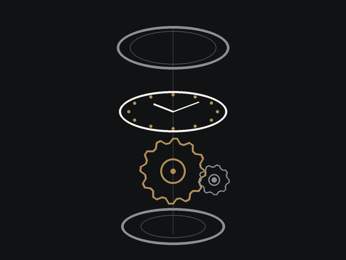 Line illustration of an exploded automatic watch: bezel, dial, movement gears and caseback